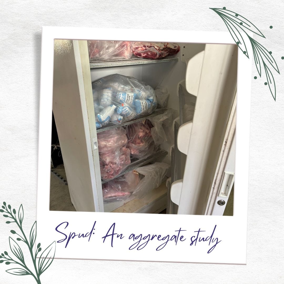 My First Existential Crisis - Kiersten J