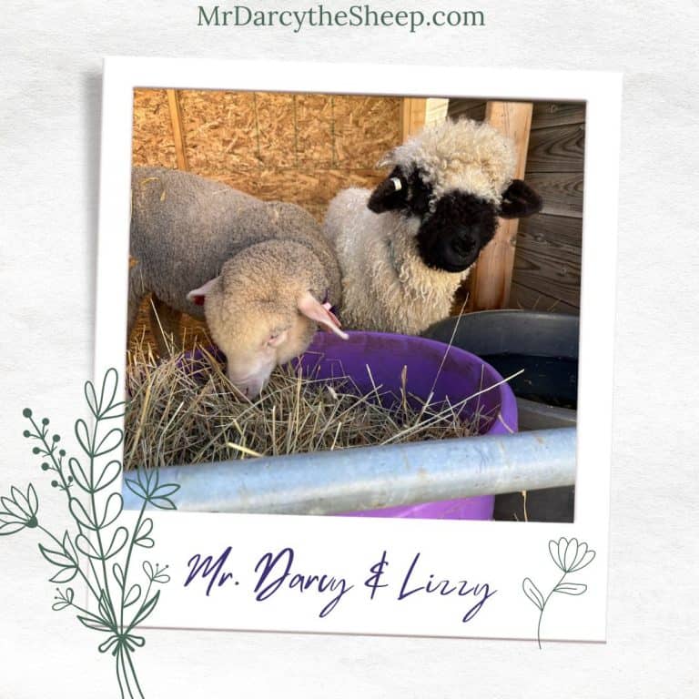 My First Existential Crisis - Kiersten J