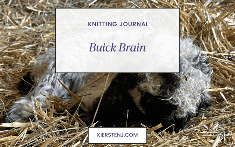 Buick Brain
